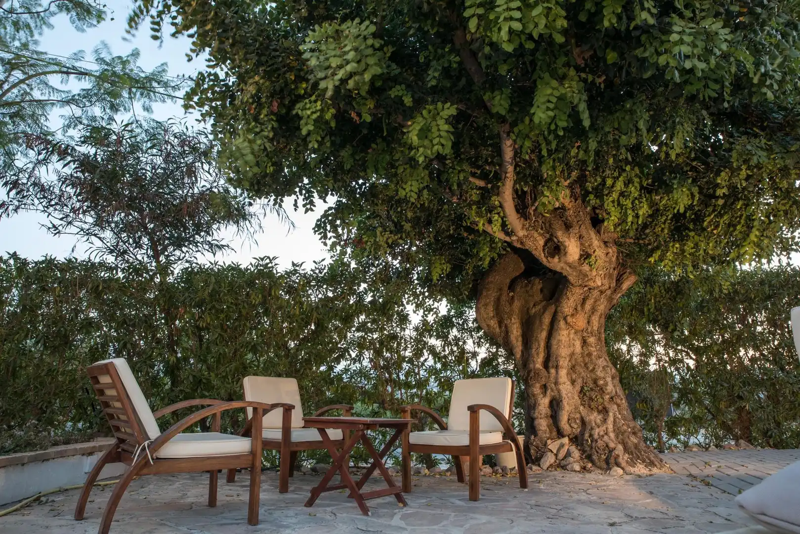 Terraza de Local en venta en Jávea / Xàbia