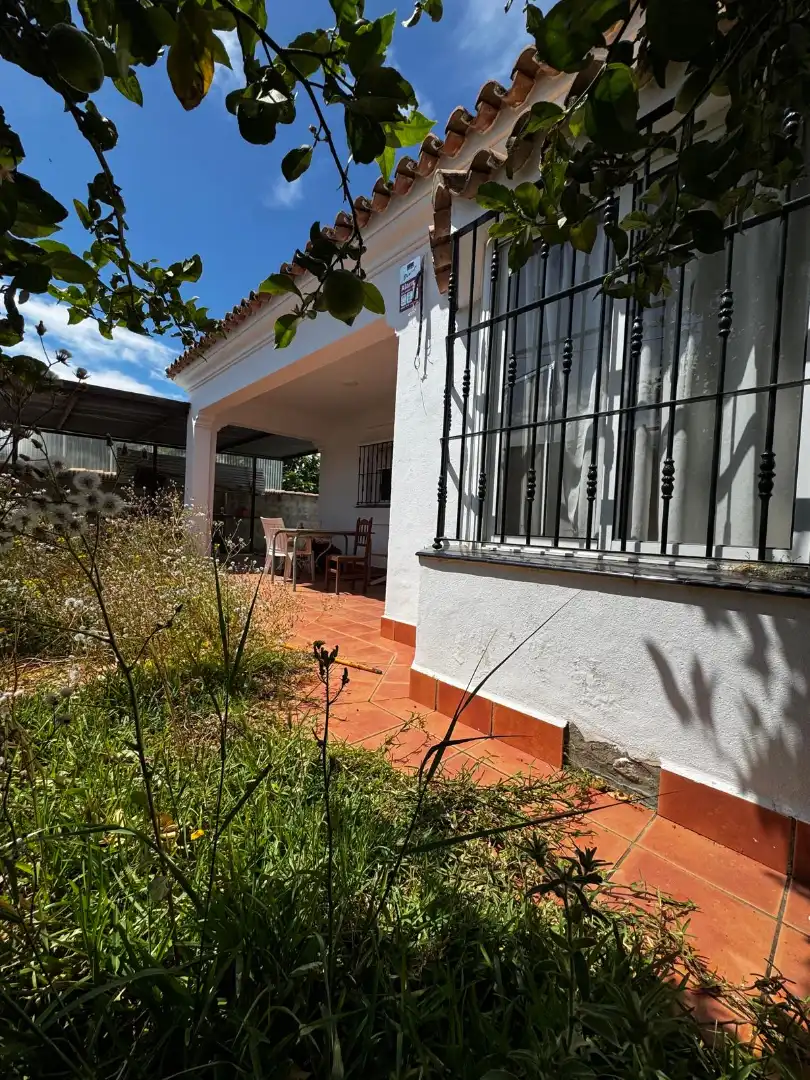 Garden of Houses for sale in Chiclana de la Frontera  with Private garden and Swimming Pool