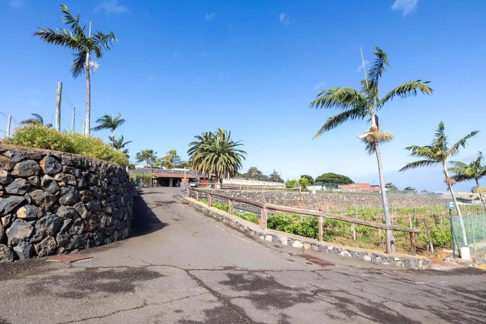 Exterior view of Houses for sale in San Cristóbal de la Laguna  with Terrace