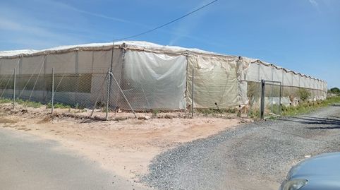 Foto 2 von Grundstücke zur Miete in Partida Maitino, 1117, Perleta - Maitino, Elche / Elx