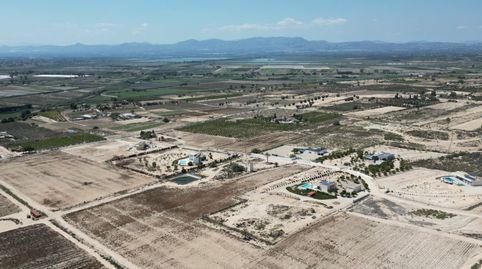 FANTASTICAS PARCELAS EN EL MOLAR ELCHEPresentamos cinco exclusivas parcelas de 10,000 mÂ cada una, situadas en la privilegiada zon, imatge 2