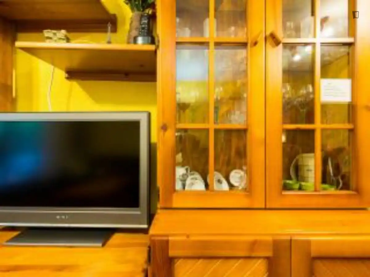 Living room of Apartments for rent in Madrid  with Air Conditioner, Heating and Furnished