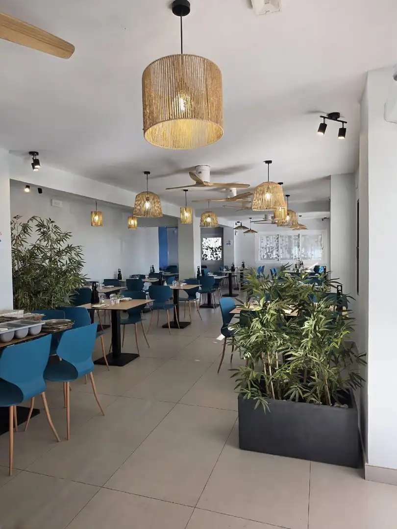 Commercial properties for sale in Playa Muchavista