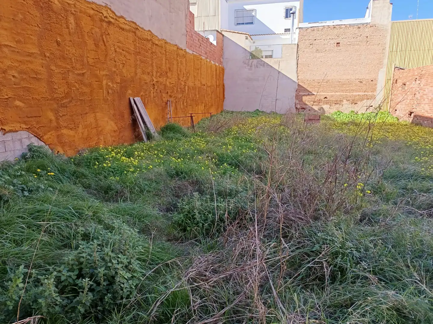 Terreno residenziale in vendita a Algemesí