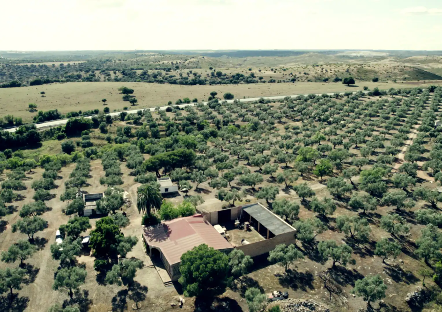 Finca rústica en venta en La Palma del Condado con Jardín privado, Terraza y Trastero