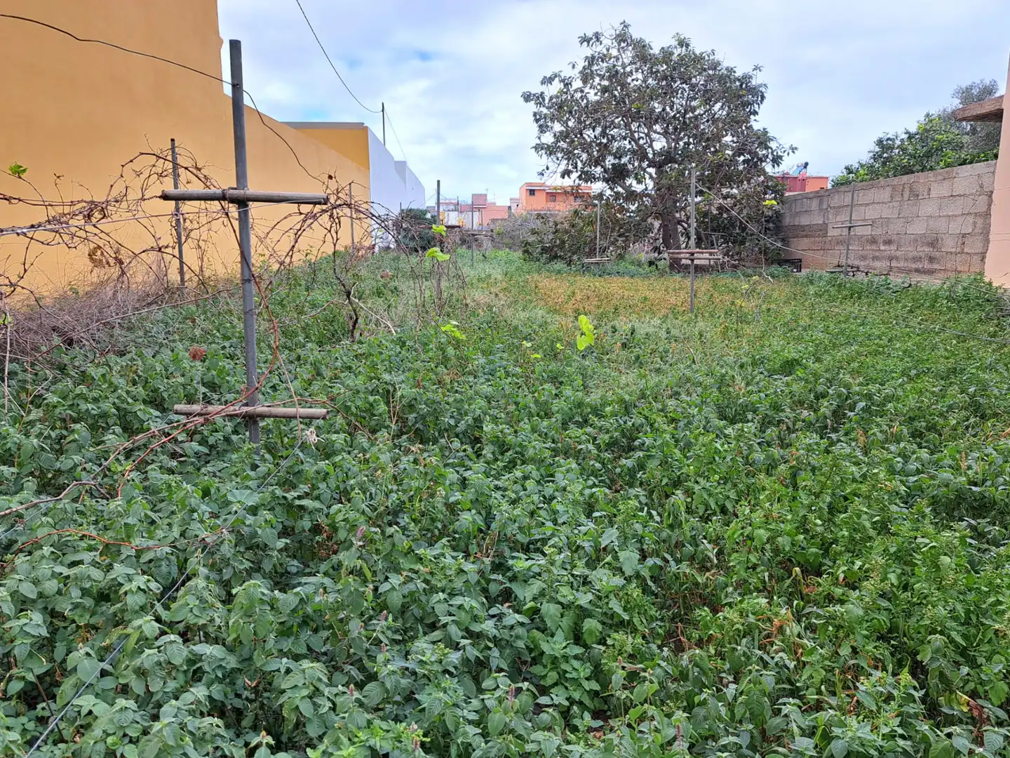 Residential land for sale in Tejina, imagen 16