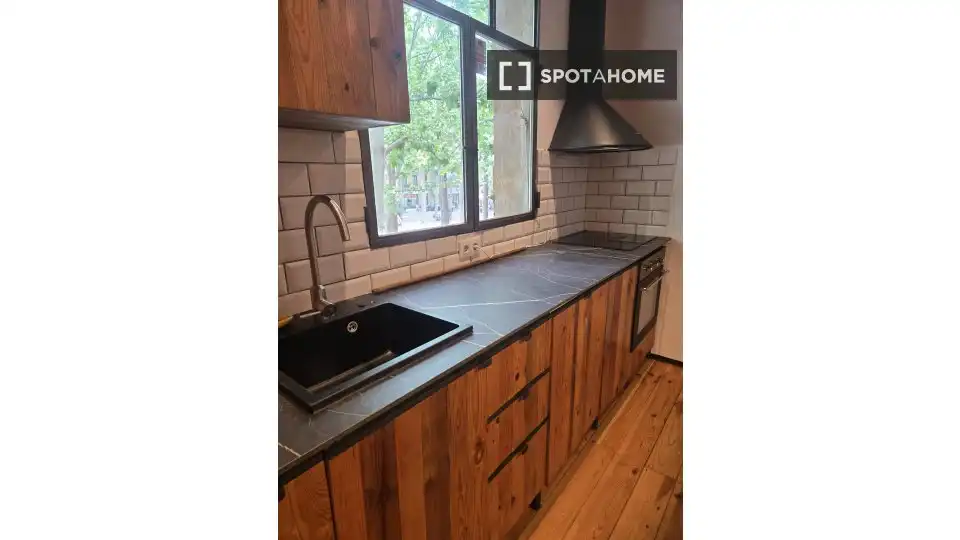 Cuina de Apartament per a compartir en Barcelona amb Aire condicionat, Terrassa i Moblat