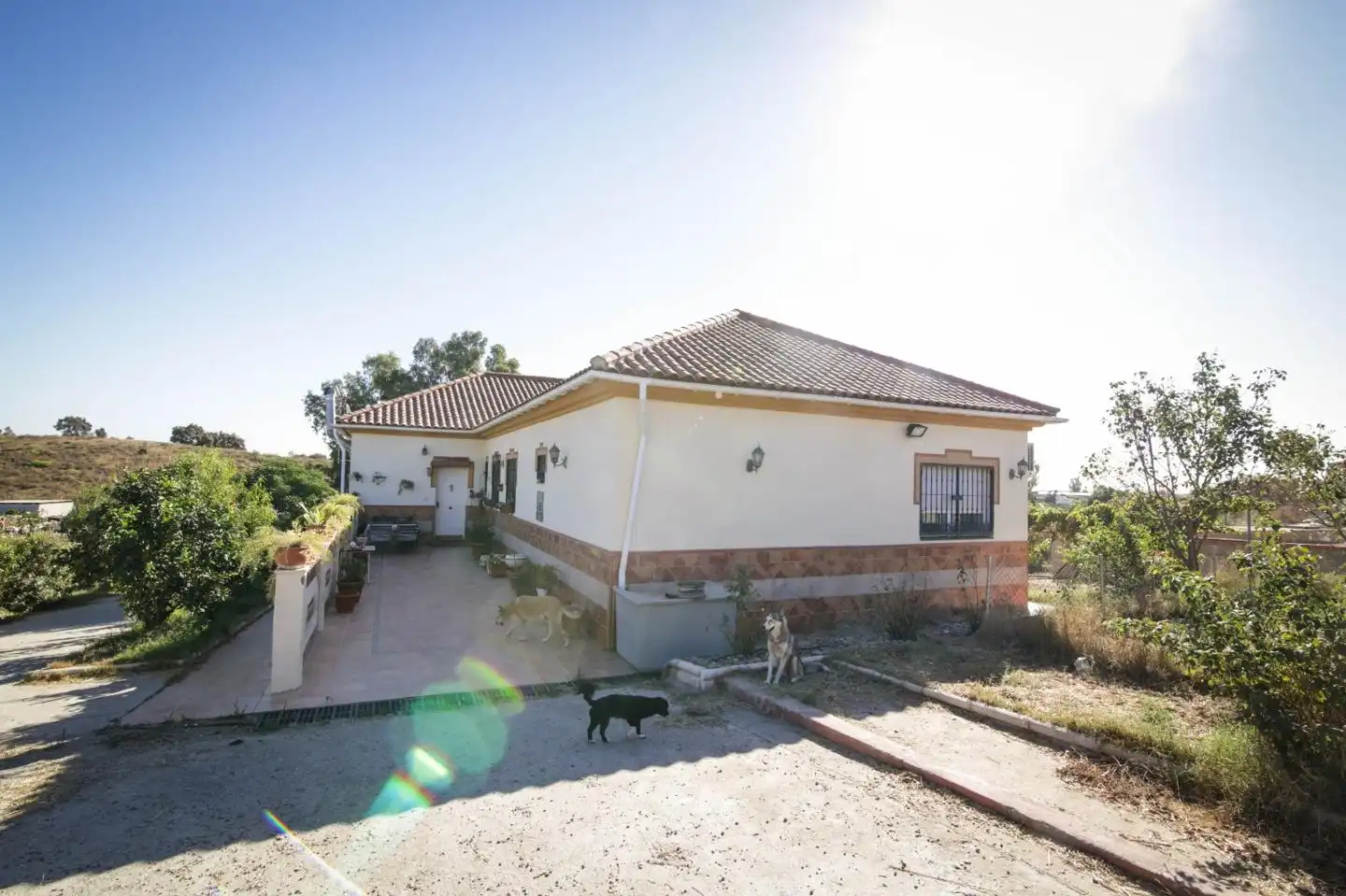 Exterior view of Houses for sale in La Puebla del Río