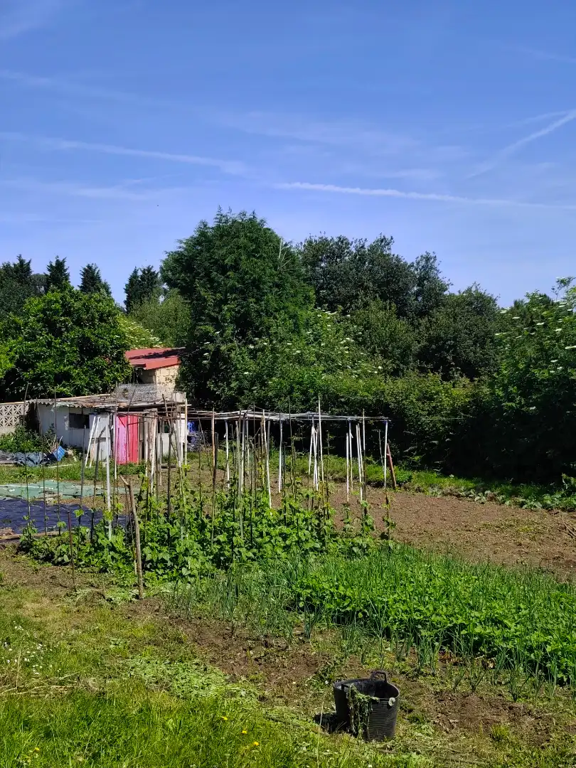 Jardín de Casa o chalet en venta en Avilés con Jardín privado y Terraza