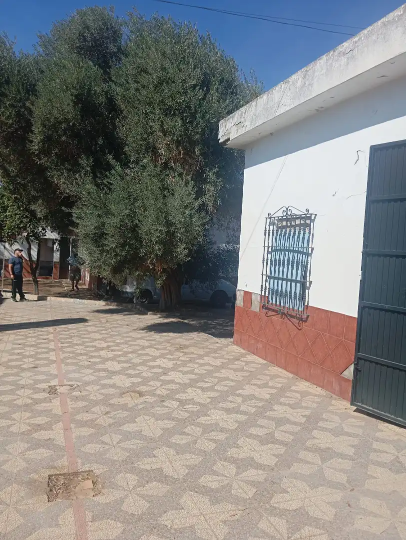 Xalet amb jardí en venda a Urbanización la Hermandad, imagen 45