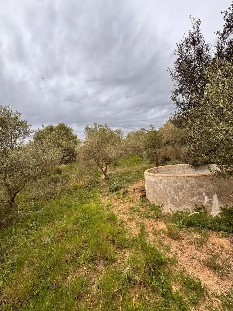 Terreno residencial en venta en Urbanitzacio Garrigots, imagen 8