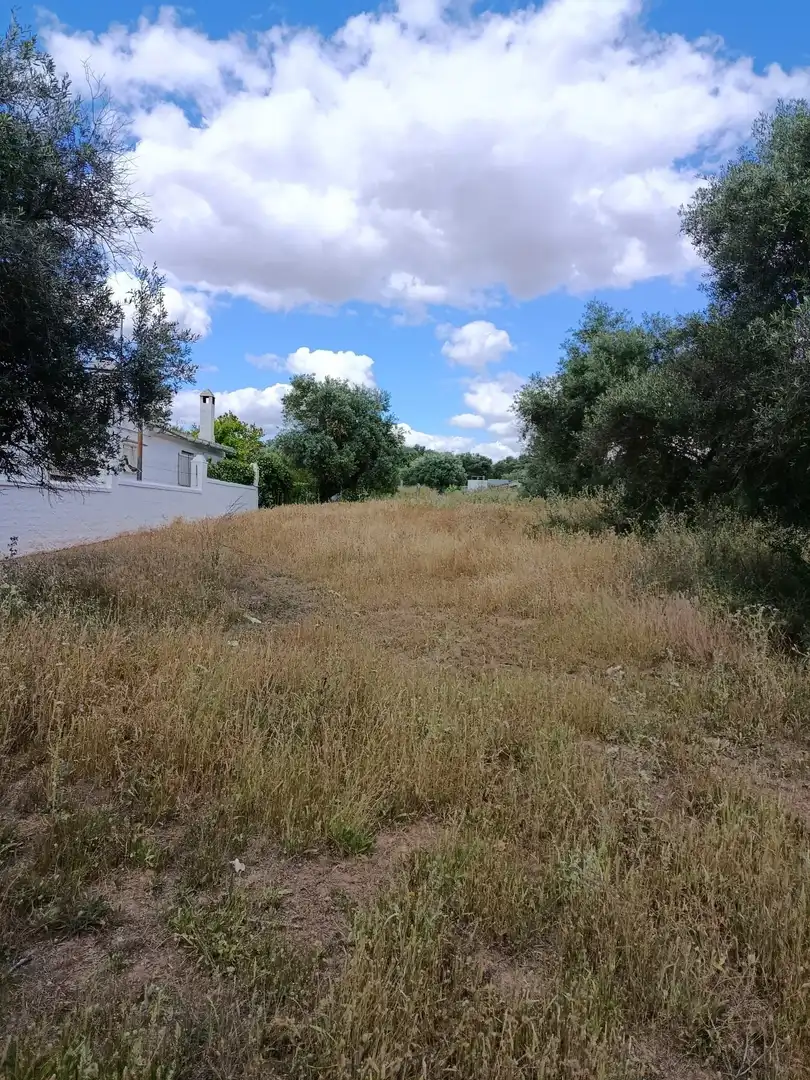 Terrain rustique à vendre à Camino CAÑADA REAL ARMADA A-8032, imagen 6