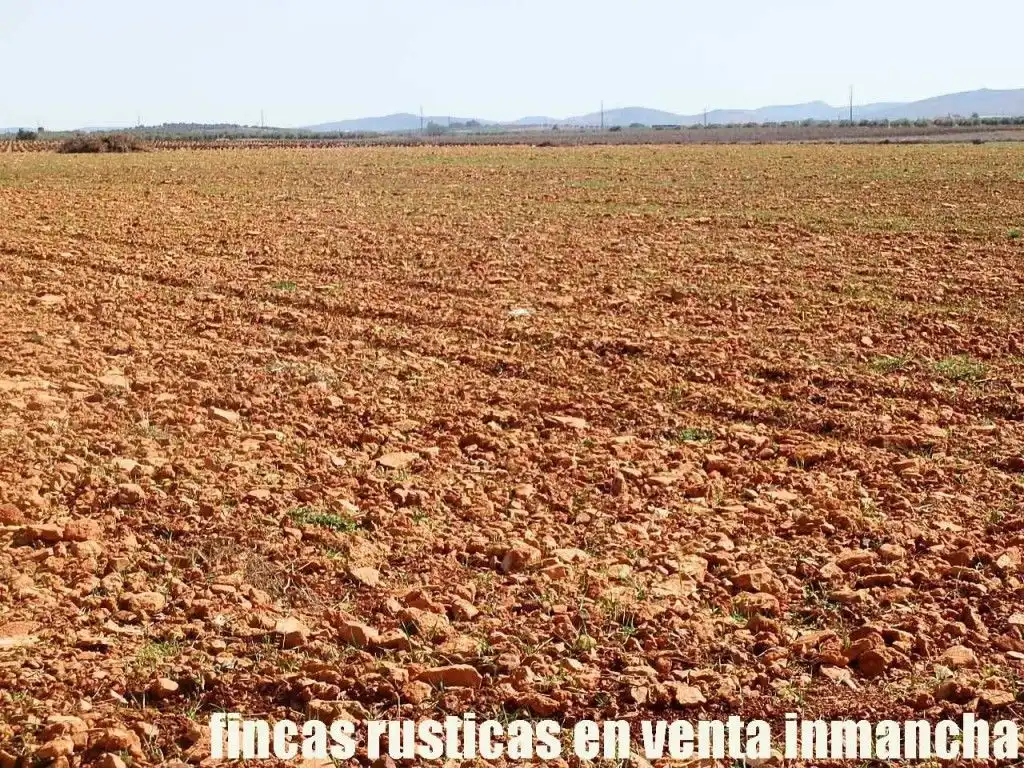 Rural land for sale in Valdepeñas, imagen 3