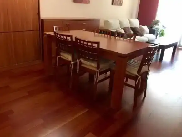 Esszimmer von Wohnung zur Miete in Aisa mit Parkett, Abstellraum und Möbliert