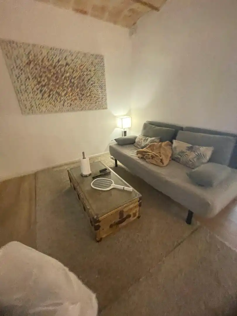Sala d'estar de Dúplex en venda en L'Hospitalet de Llobregat amb Terrassa