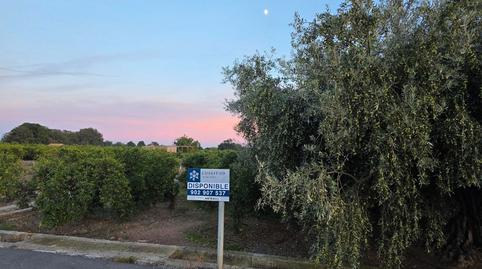 Photo 3 of Land for sale in Carretera Tercer Sedeny, 1198, Piscinas, Castellón