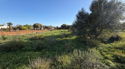 Foto 4 de Residencial en venta en La Soledad, Chiclana de la Frontera