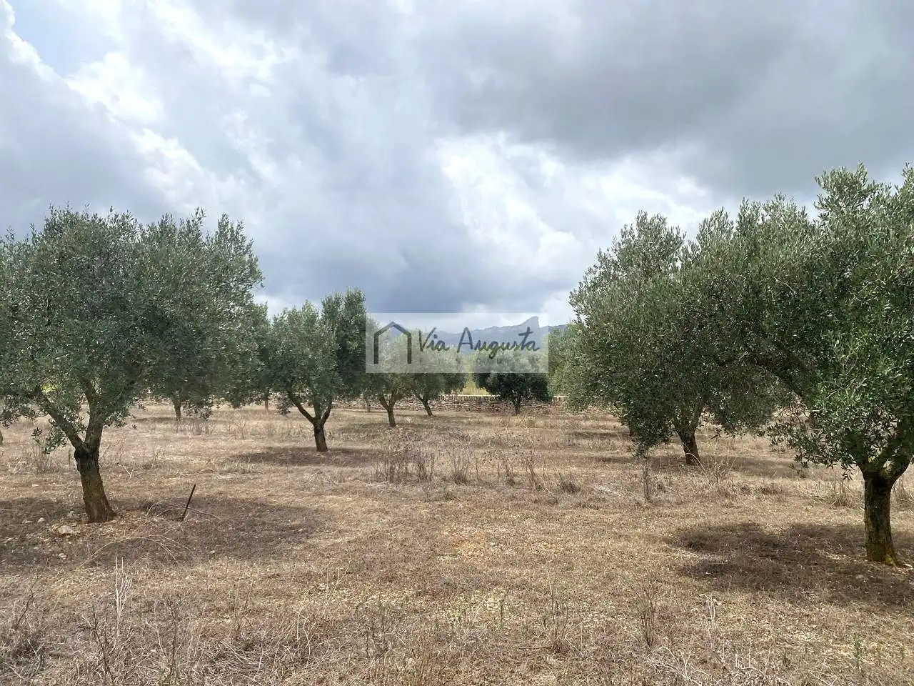 Terreno rustico in vendita a Burga, imagen 8