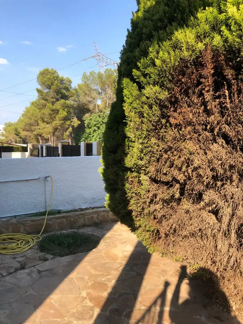 Jardín de Casa adosada en venta en Gilet con Calefacción, Jardín privado y Parquet