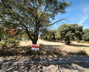 Residencial en venda en Buenavista