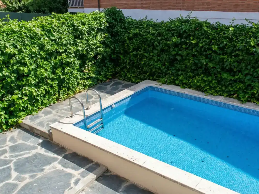 Piscina de Casa o xalet per a compartir en Fuencarral - El Pardo