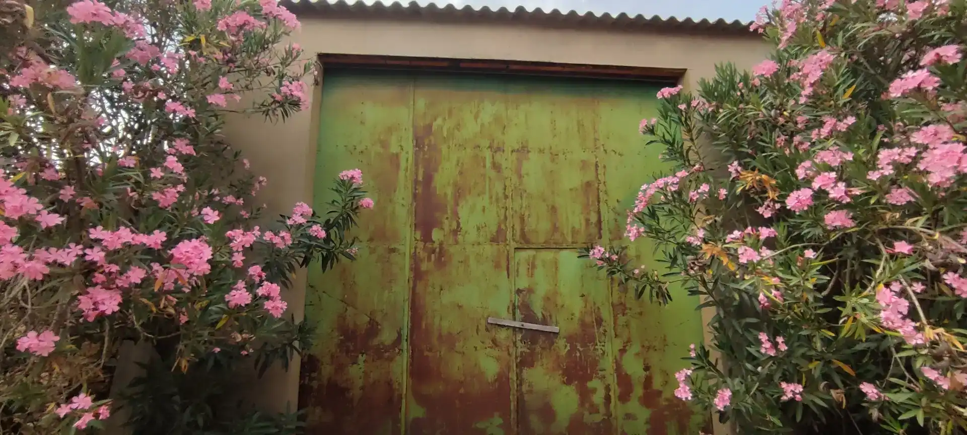 Jardí de Planta baixa en venda en Higueruela