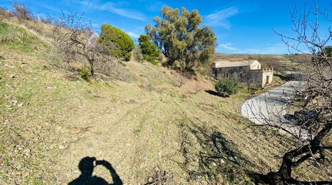 Foto 4 von Geschaftsraum zum Verkauf in Sorvilán, Granada