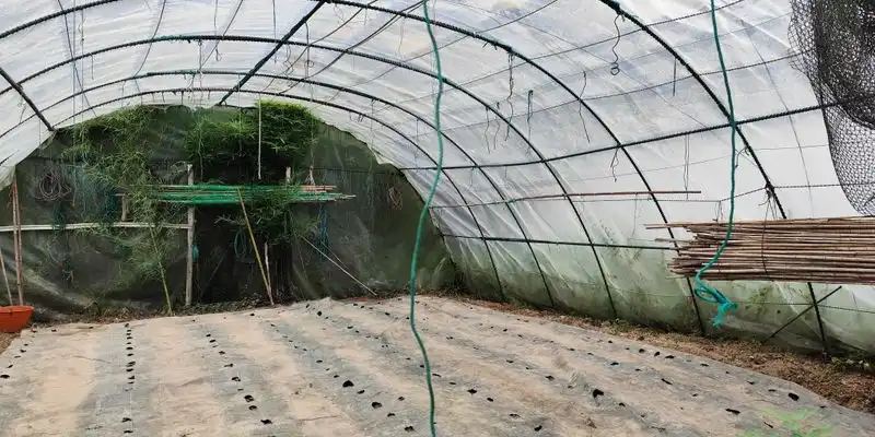 Garten von Grundstücke zum Verkauf in Liendo