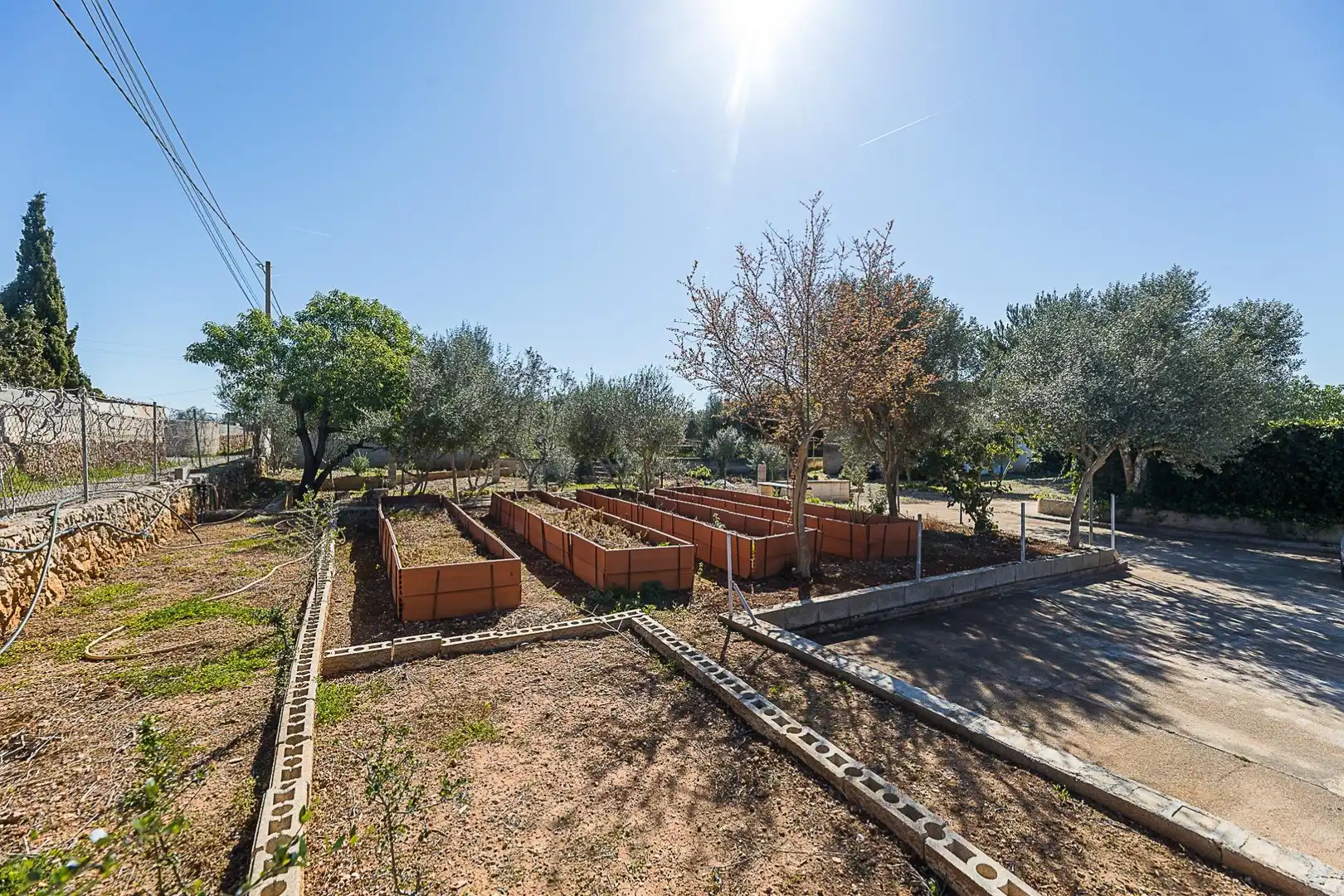 Garten von Country house zum Verkauf in  Palma de Mallorca mit Klimaanlage, Heizung und Privatgarten