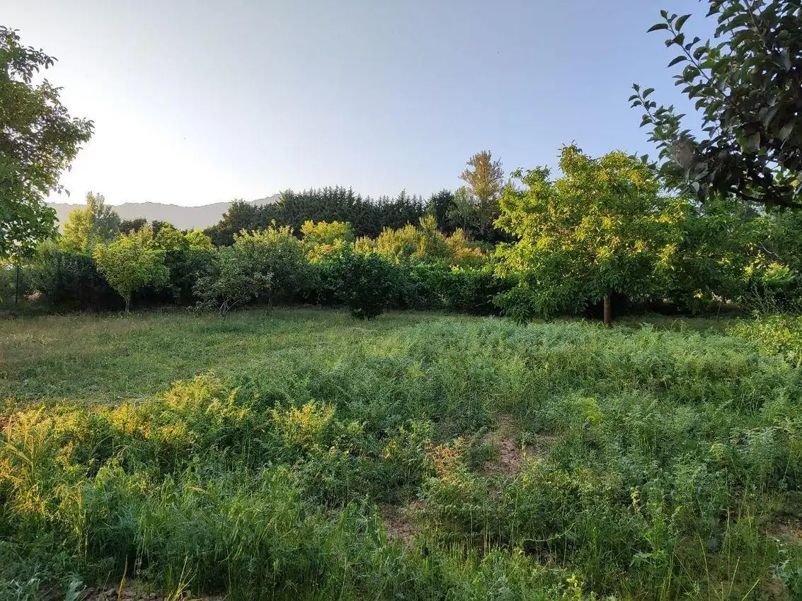 Casa o chalet en venta en Quintanaélez con Calefacción, Jardín privado y Terraza