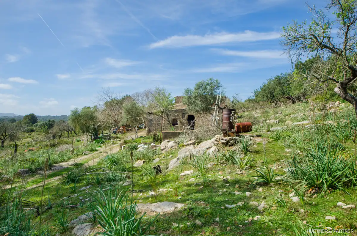 Terreny residencial en venda a Artà Poble, imagen 7
