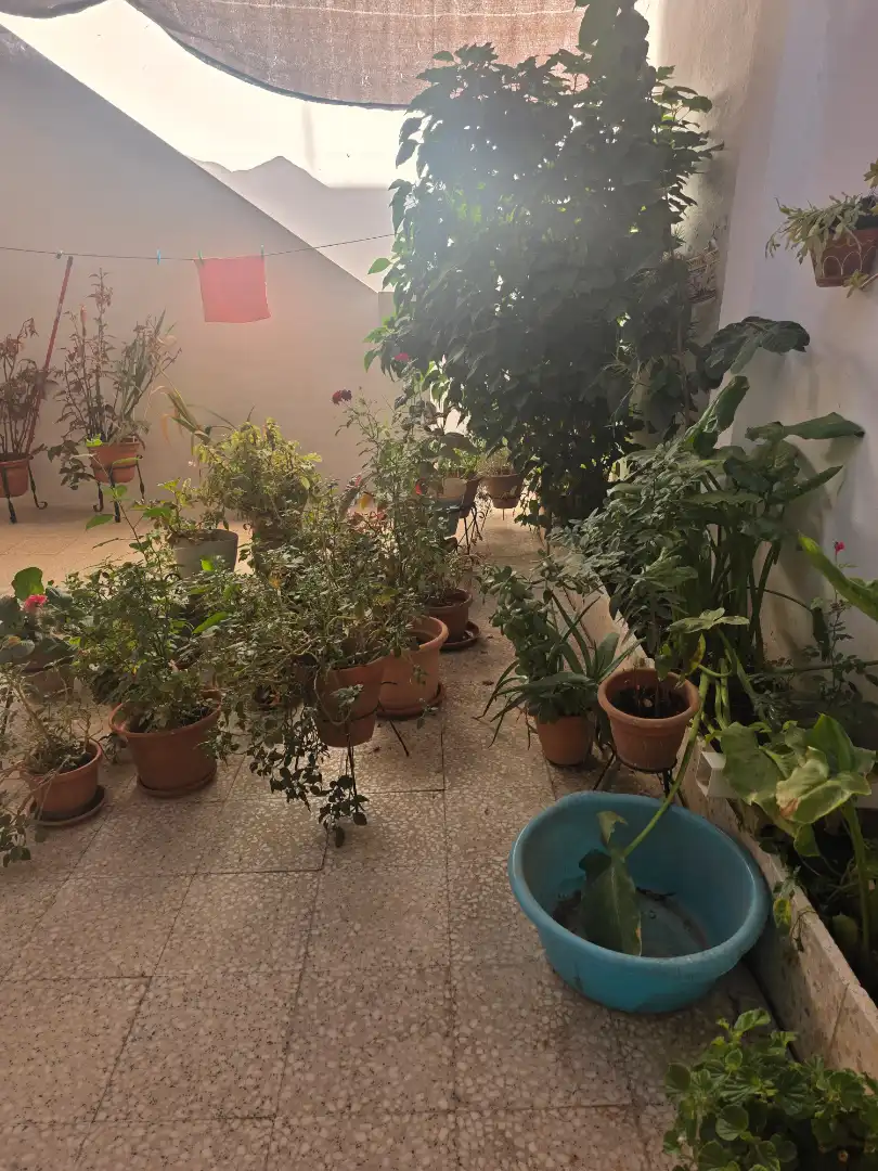 Houses for sale in Calle Jerusalén, Las Torres - Constelaciones