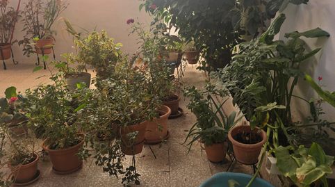 Photo 5 of Houses for sale in Calle Jerusalén, Las Torres - Constelaciones, Utrera