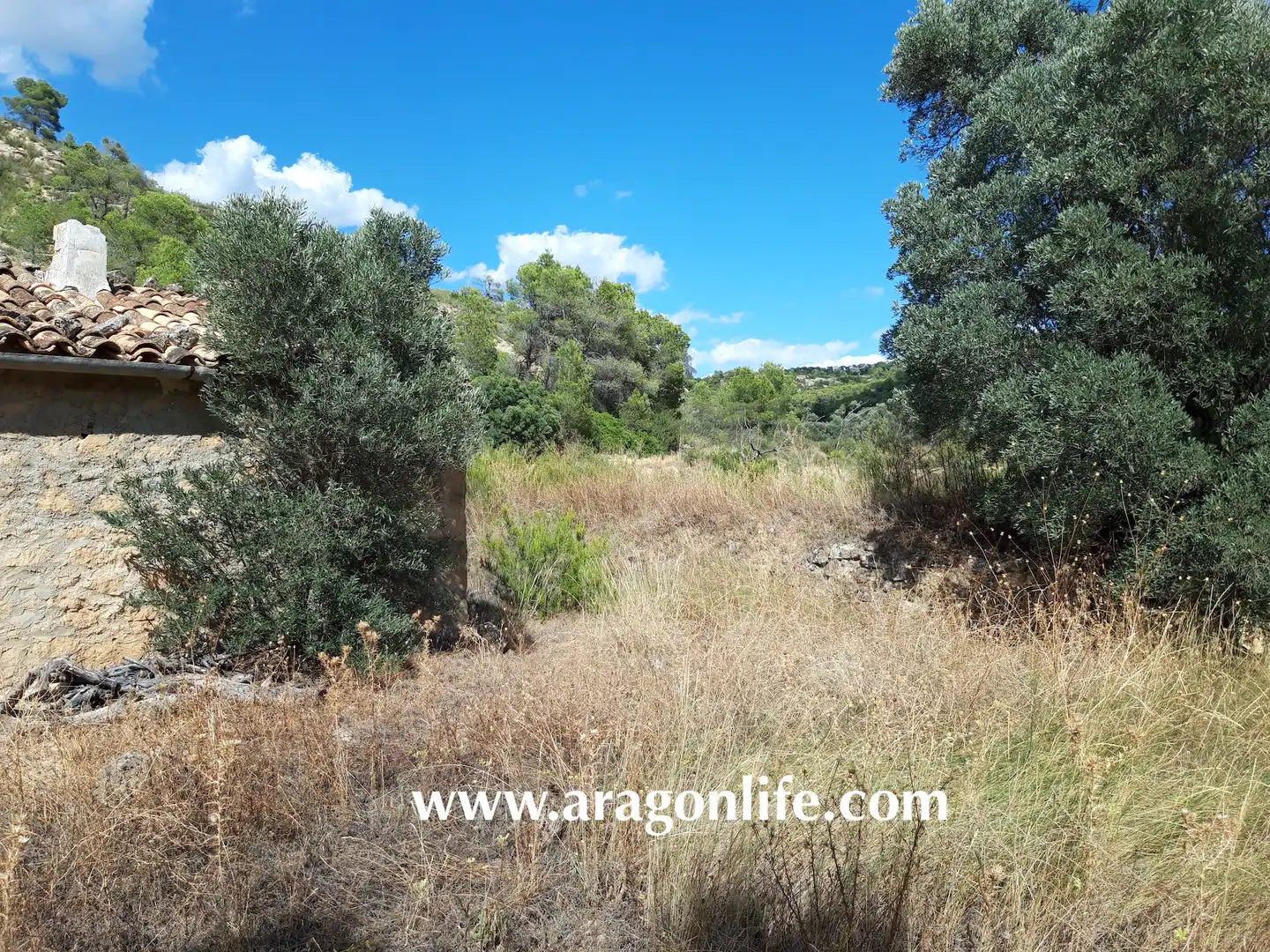 Finca rústica en venta en Fabara