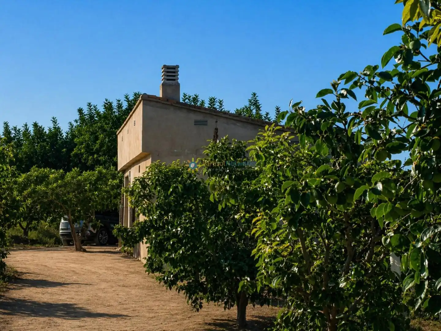 Vista exterior de Finca rústica en venta en Albaida con Jardín privado y Trastero