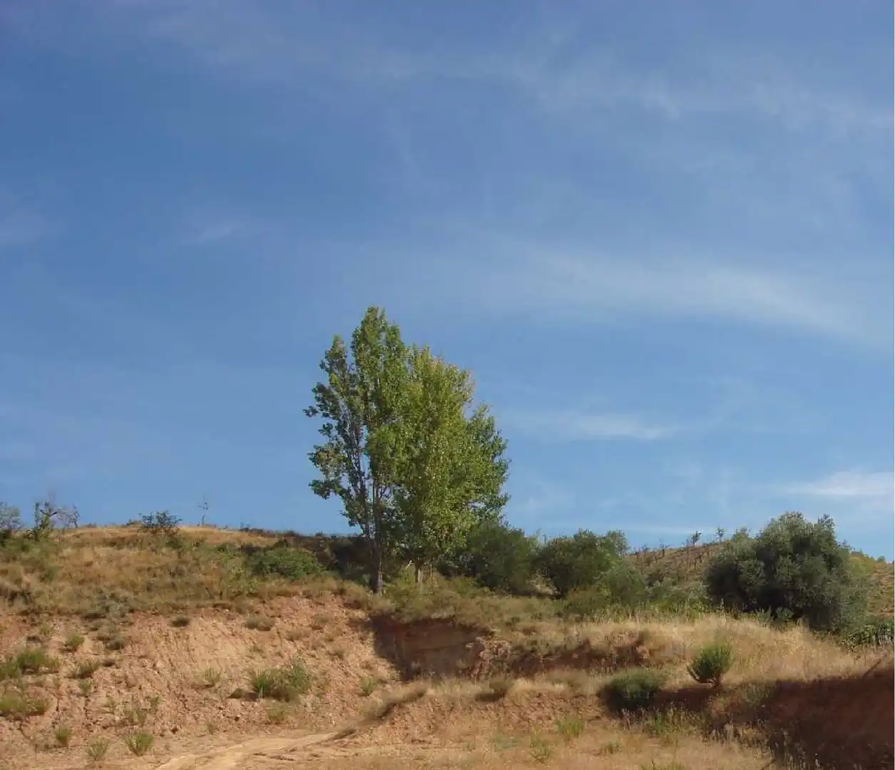 Terreny rústic en venda a Villamediana de Iregua, imagen 3