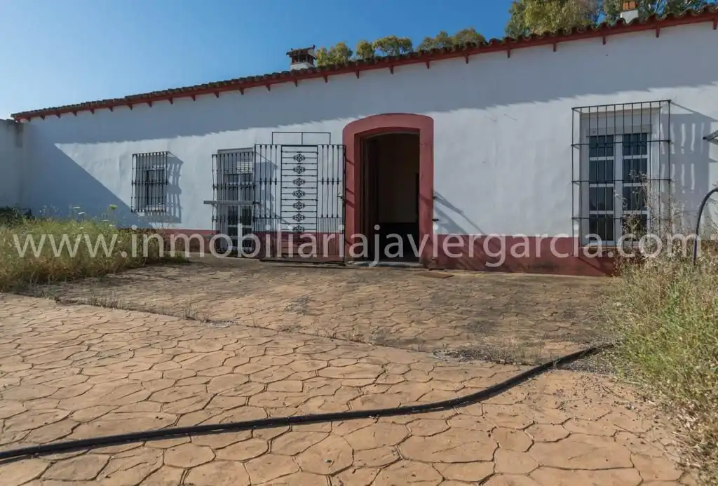 Vista exterior de Finca rústica en venta en Villafranca de los Barros con Terraza