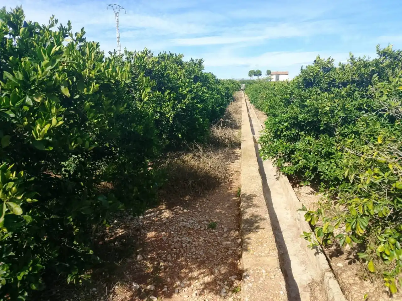Rustikales Grundstück zum Verkauf in Camino Xeraco a Xeresa, imagen 11