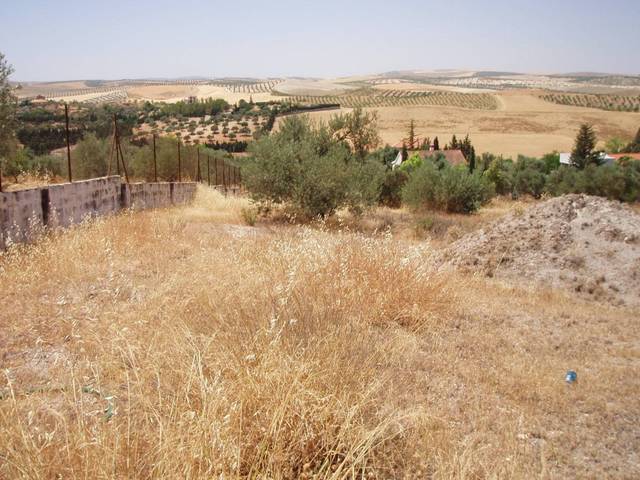 Terreno en Venta en Calle Calle Río Guadalquivir en Aljomahima - Ermita