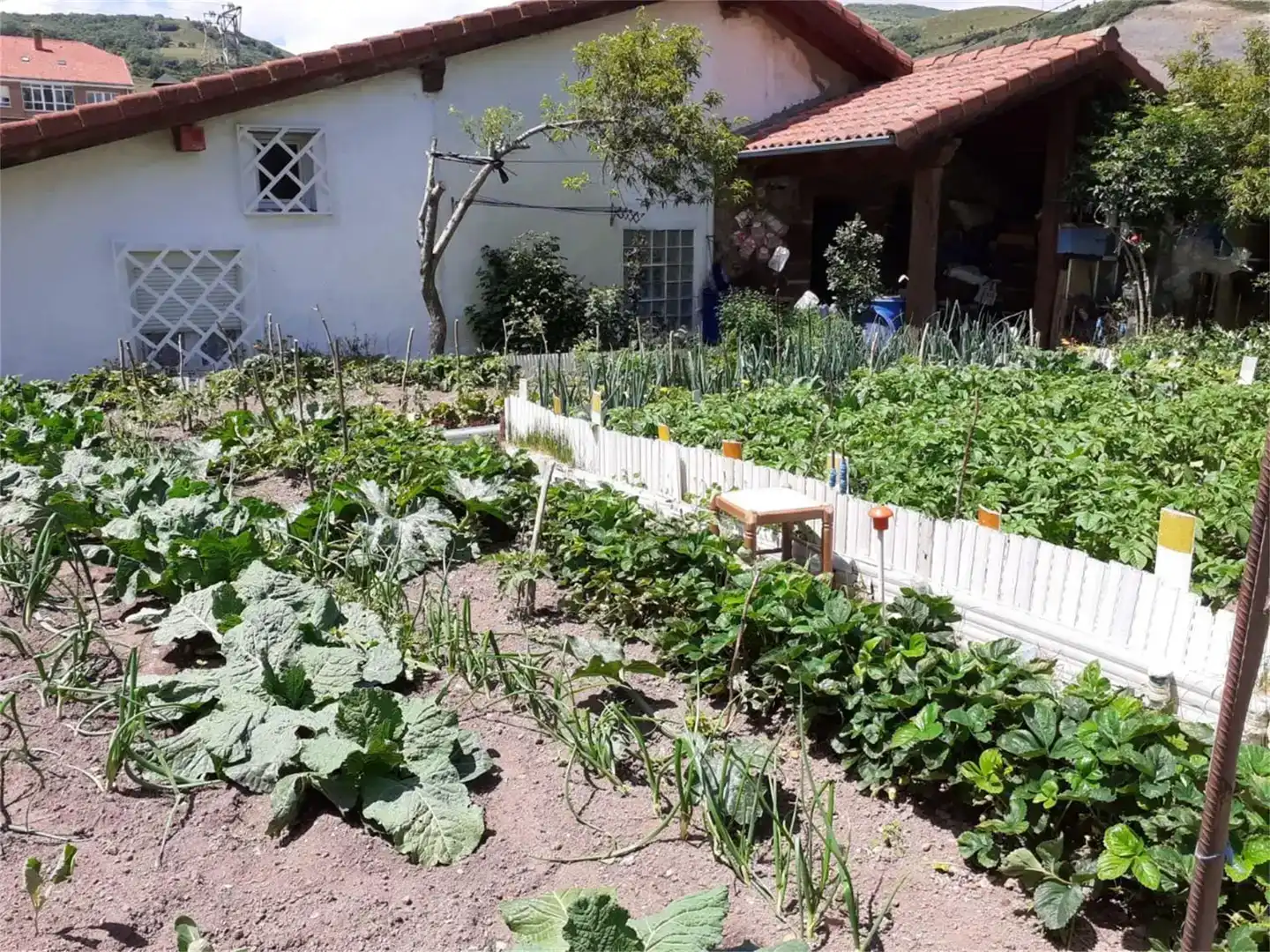 Jardí de Finca rústica en venda en Campoo de Enmedio amb Traster