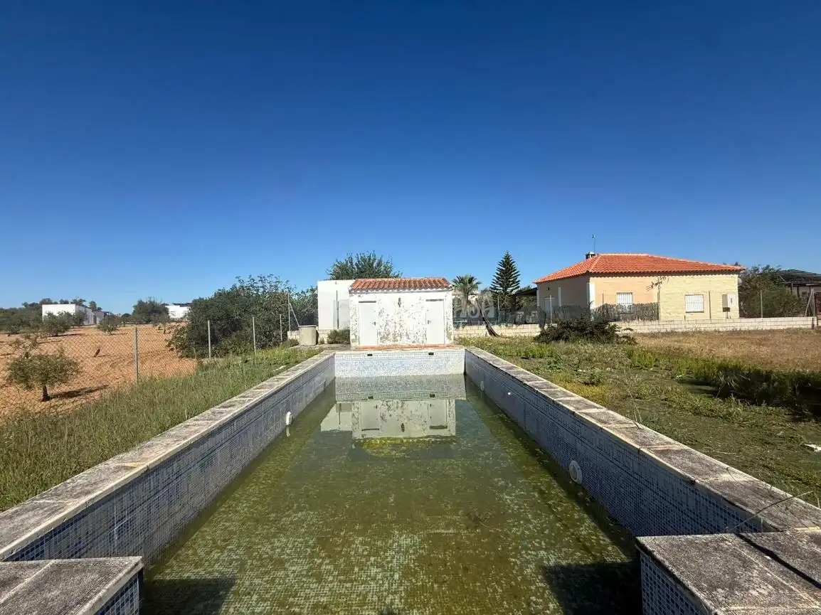 Piscina de Finca rústica en venta en Arahal con Aire acondicionado y Piscina