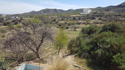 VEN 2236, immagine 5