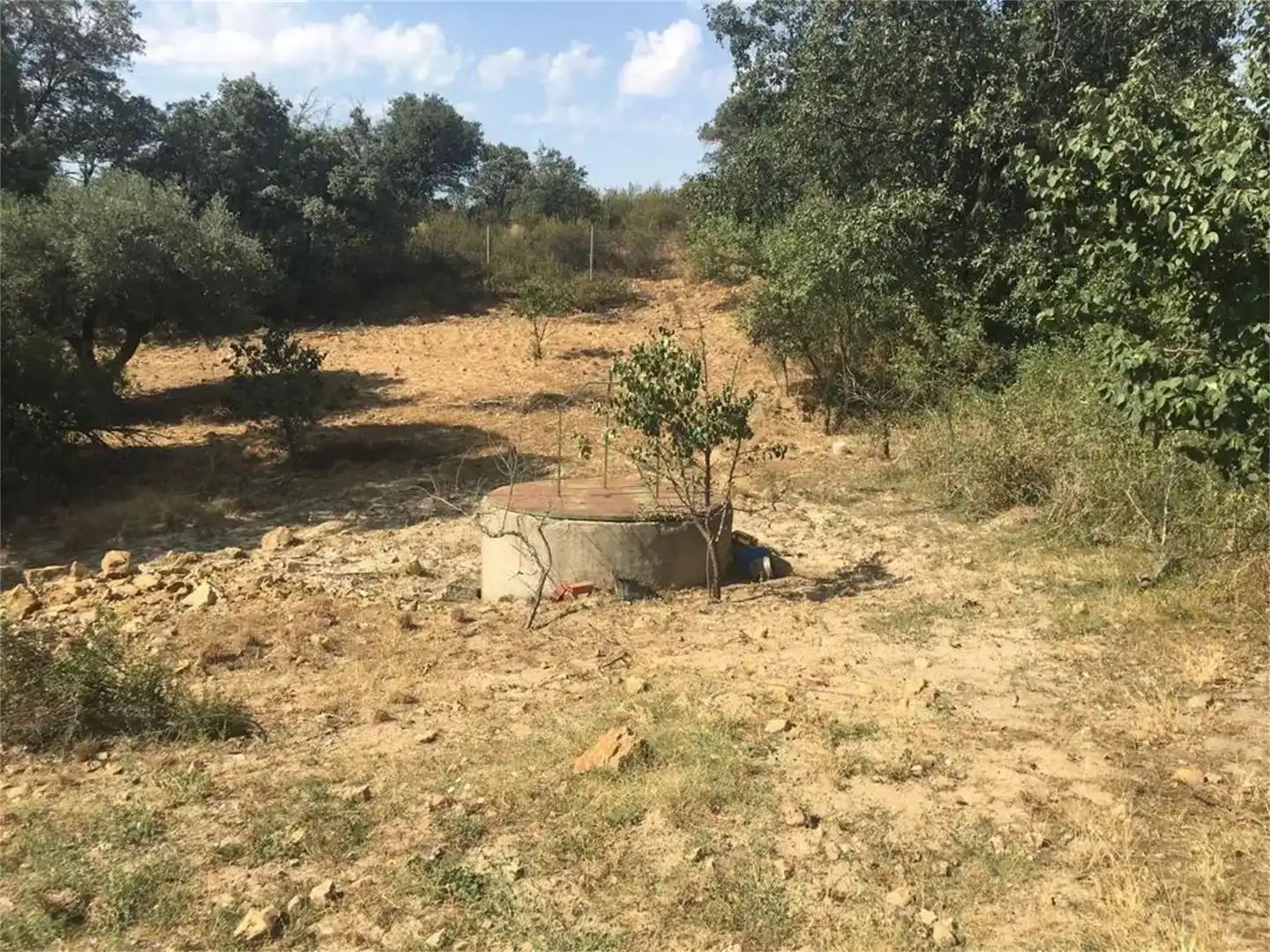 Land for sale in Hontanar