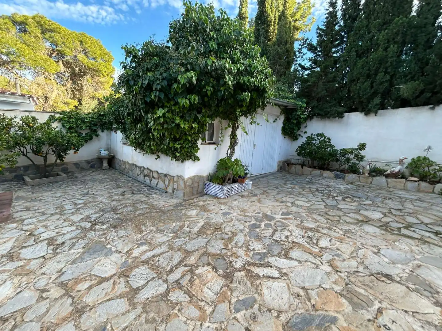 Vista exterior de Casa o chalet en venta en Torrevieja con Aire acondicionado, Trastero y Piscina