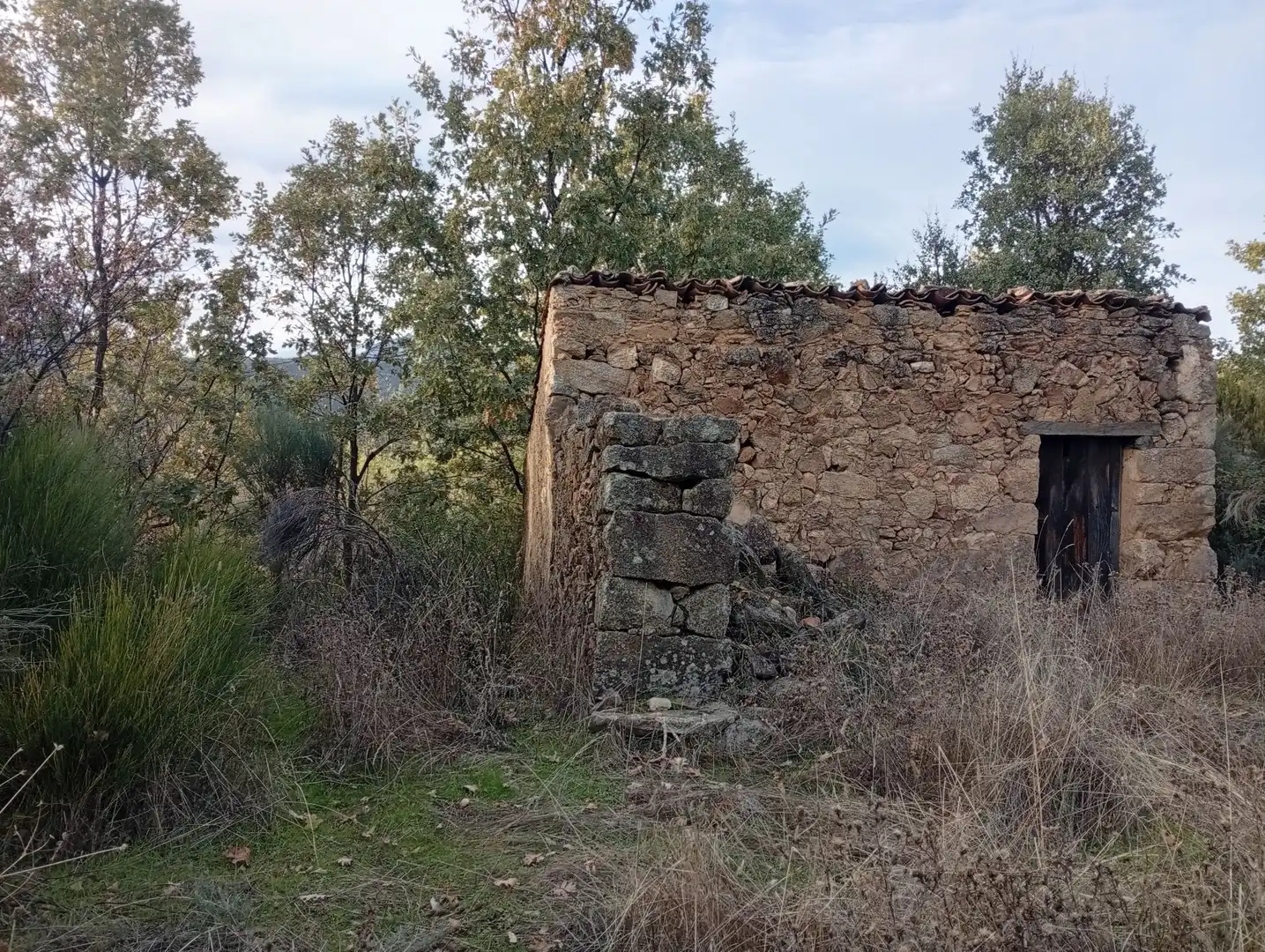 Terreni e lotti in vendita a Villanueva de la Vera, imagen 34