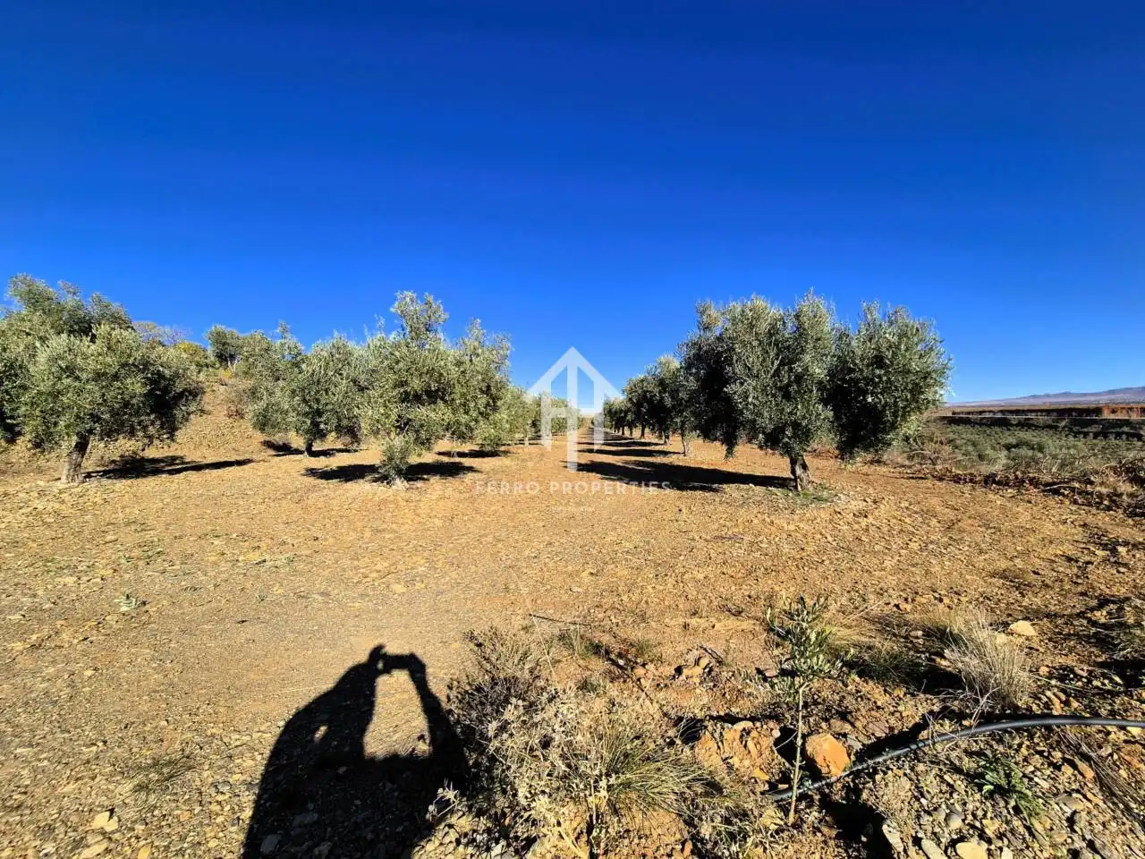 Lands and plots for sale in Lanteira, imagen 25