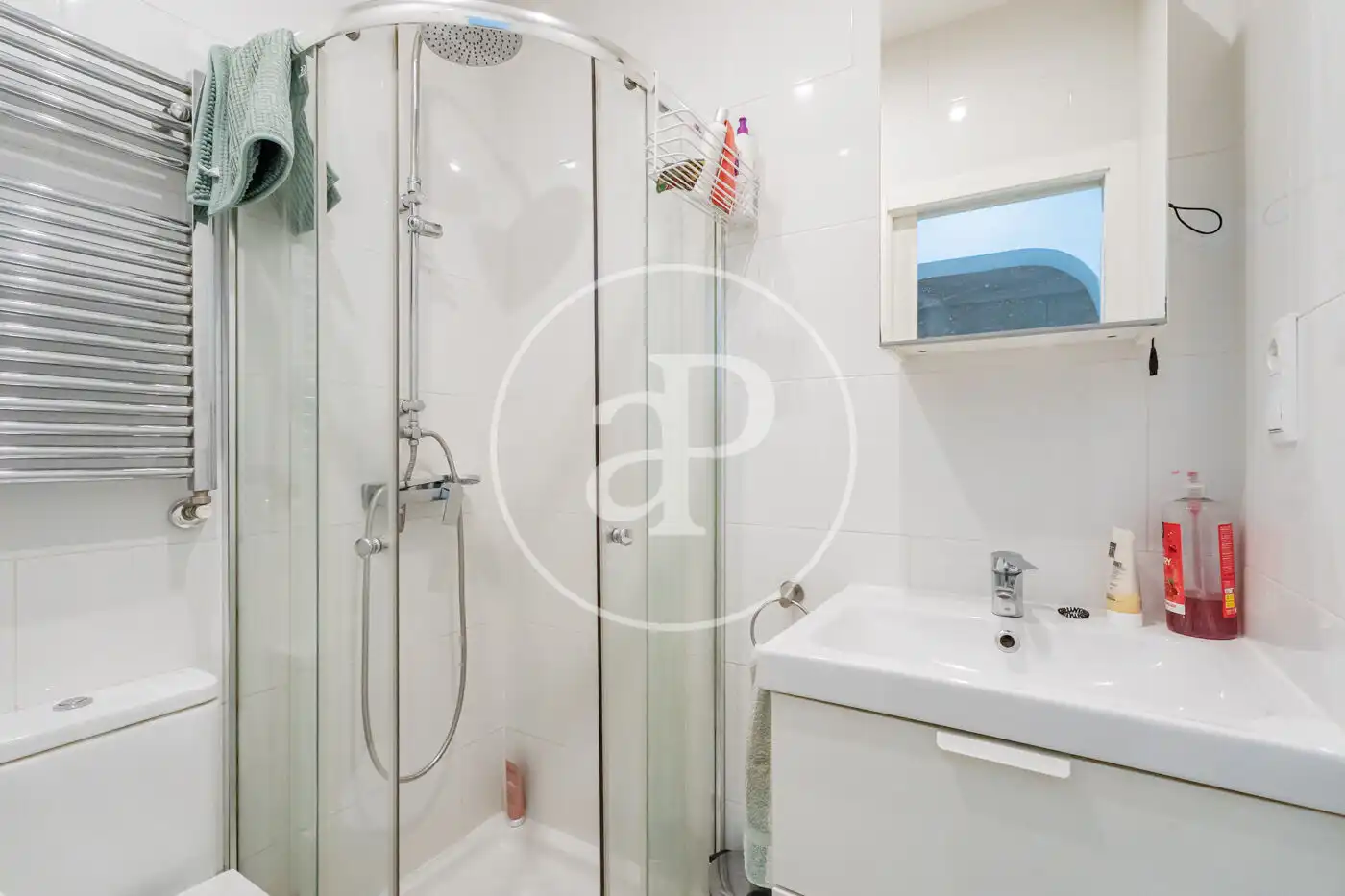 Bathroom of Flat for rent in Madrid  with Air Conditioner, Heating and Balcony