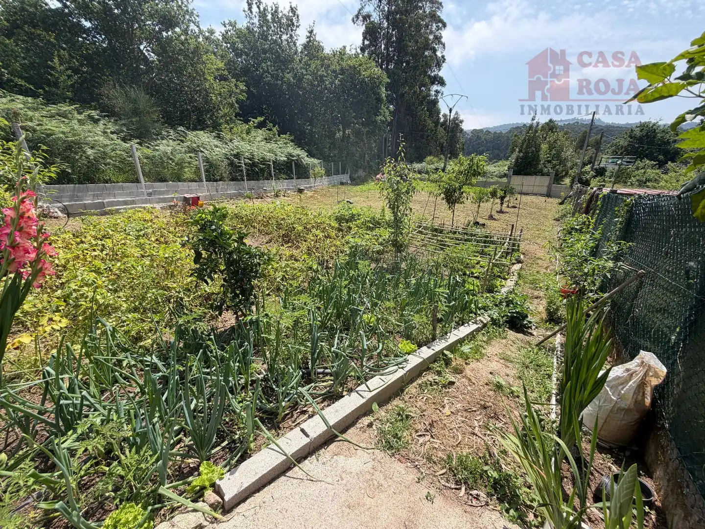 Terreno rustico in vendita a Bueu, imagen 28