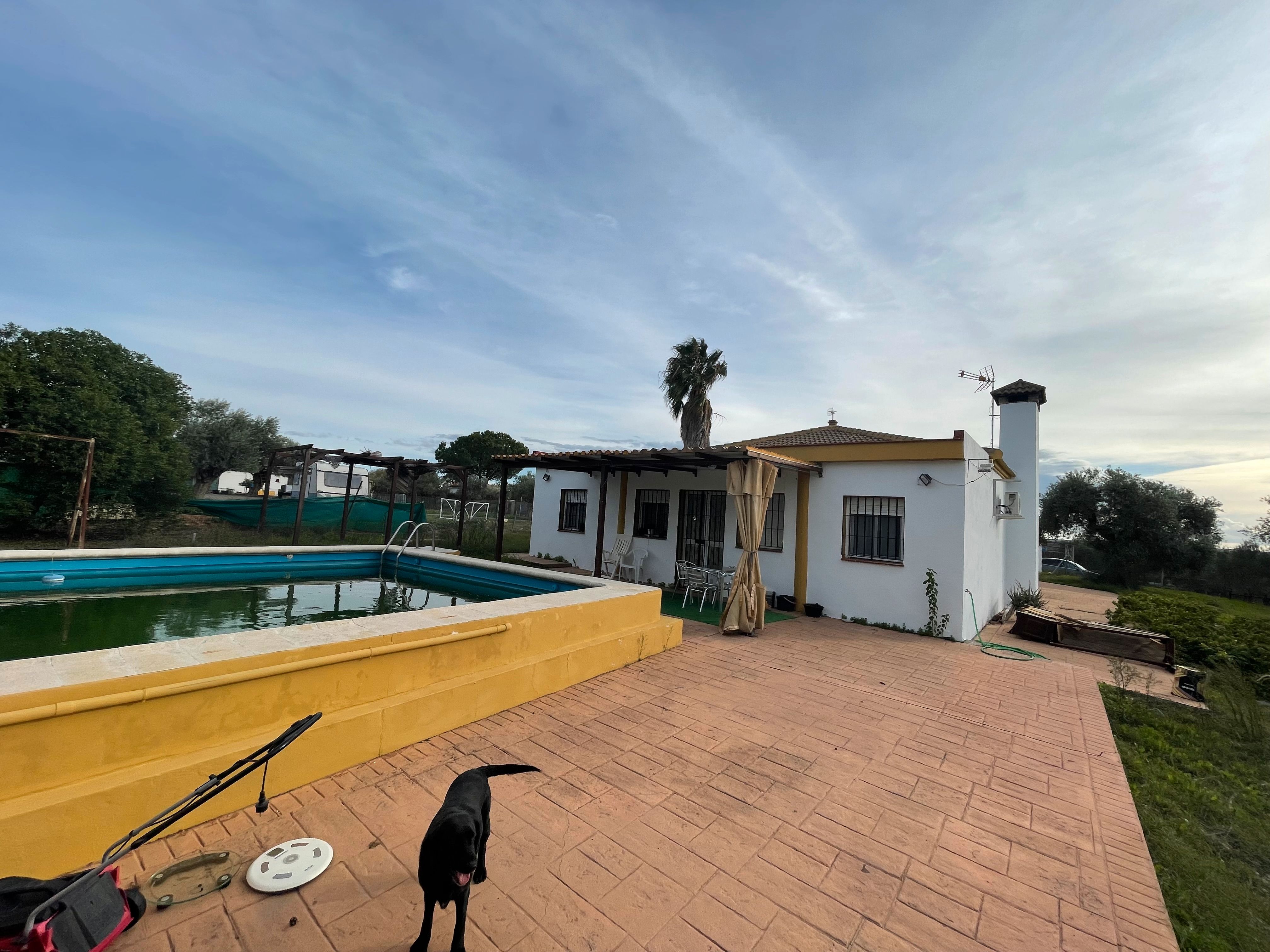 House or chalet for sale in Sanlúcar la Mayor