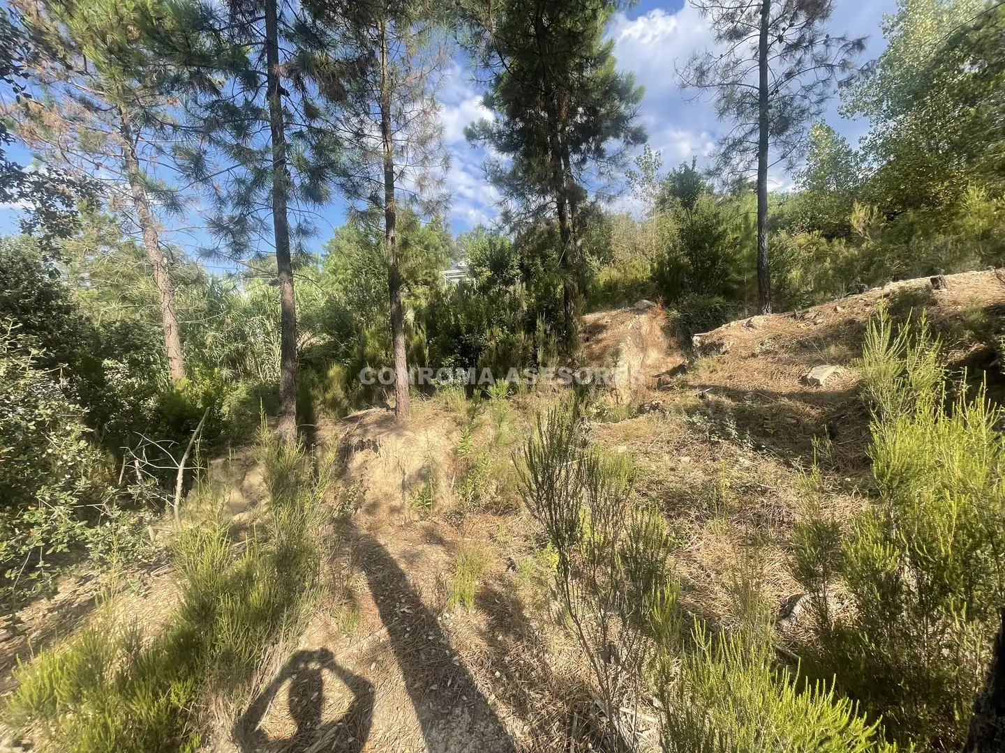 Terreno residenziale in vendita a Riudarenes, imagen 5